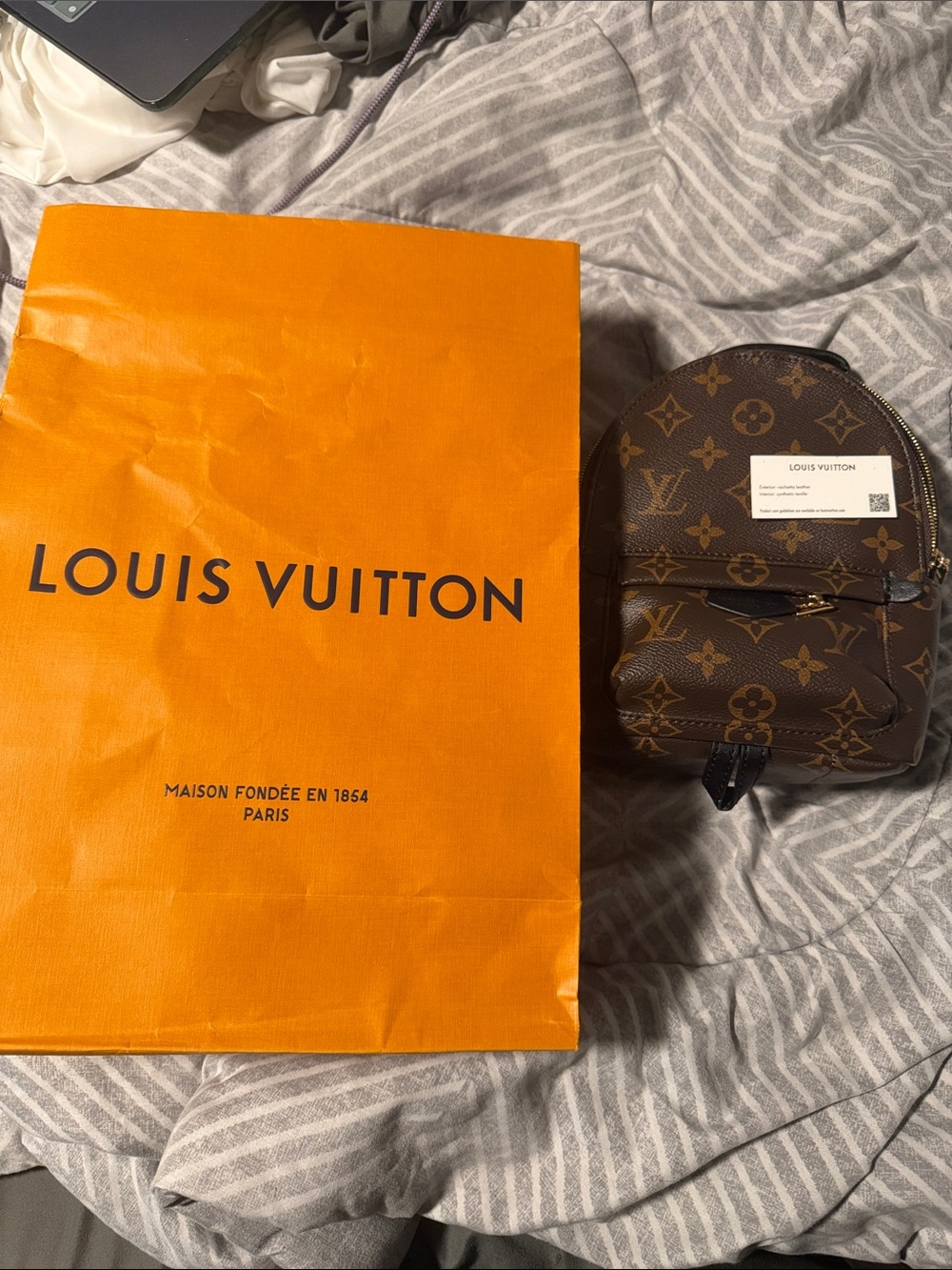 Louis Vuitton Monogram Palm Springs Mini